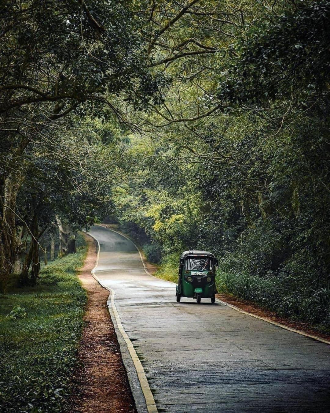 Sigiriya Village Home Stay Bagian luar foto