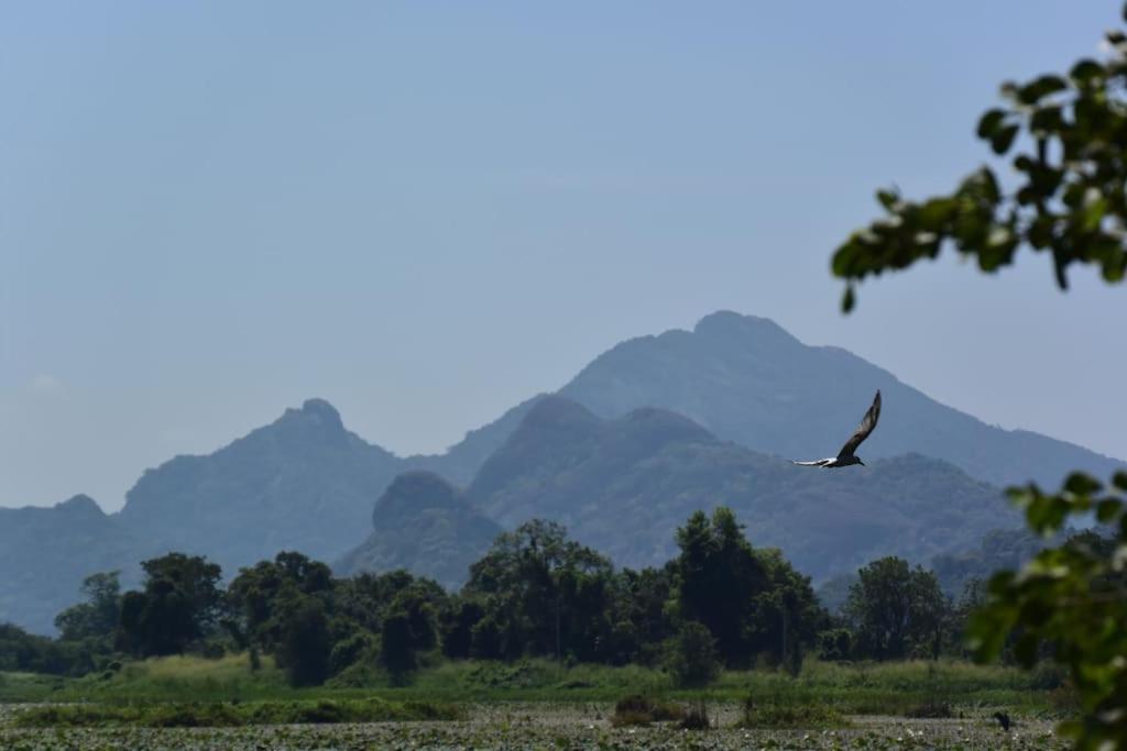 Sigiriya Village Home Stay Bagian luar foto