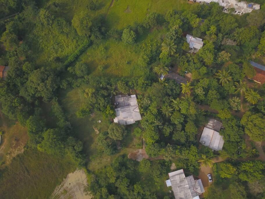 Sigiriya Village Home Stay Bagian luar foto