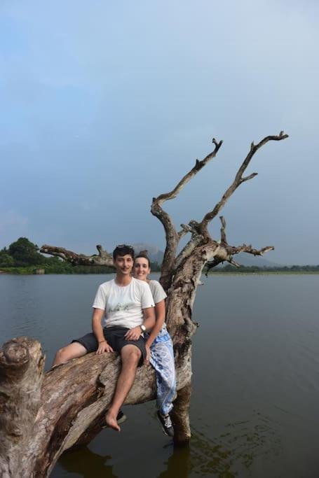 Sigiriya Village Home Stay Bagian luar foto
